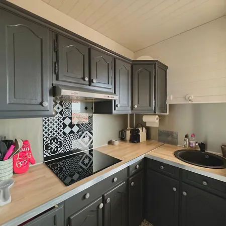 Appartement Superbe T2 200 M De La 4suf502