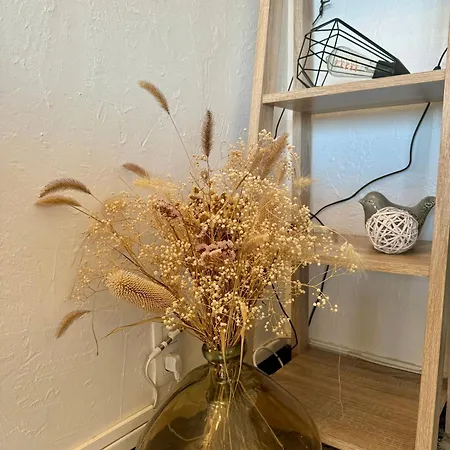 Superbe T2 200 M De La 4suf502 * לה ברקרה