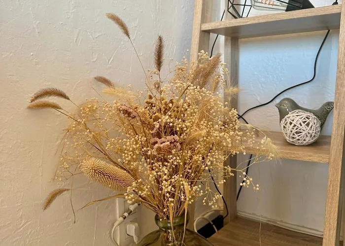 Superbe T2 200 M De La 4suf502 * Le Barcarès